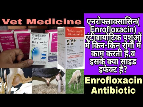 enrofloxacin-antibiotic--पशुओं-में-किन-किन-रोगों-में-काम-करती-है,-व-इसके-क्या-साइड-इफेक्ट-है?