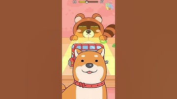 Hide and Seek: Cat Escape 🐧 Level 66 🧲 Gameplay Walkthrough 🥗 #hideandseek #catescape  #gameplay