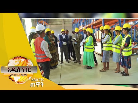 ቪዲዮ: የቋሚ ግሦች የማይተላለፉ ናቸው?