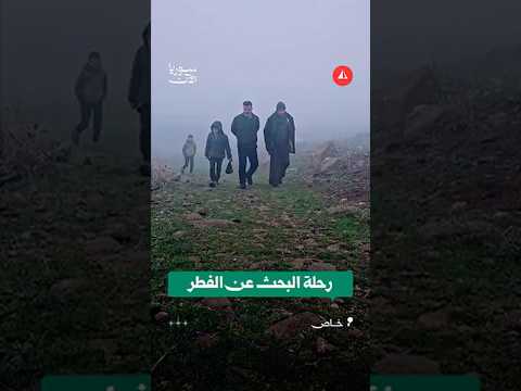 موسم الفطر في ريف إدلب