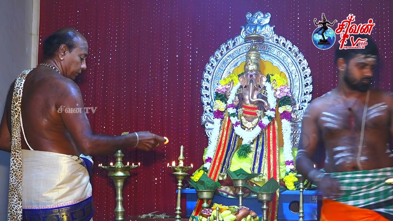 புங்குடுதீவு மத்தி பெருங்காடு மூத்த நயினார்புலம் வரசித்தி விநாயகர் கோவில் பூங்காவனத்திருவிழா 2026