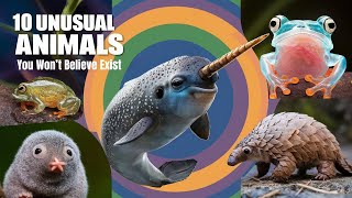 10 Unique Animals You Won’t Believe Exist | Mind Blowing Facts