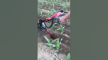 One machine for multiple uses saves time effort and labor Orchard greenhouse#viralshort #shortsvideo