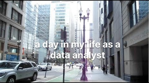 A Day in My Life as a Data Analyst in Chicago