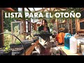 Ya quiero que sea otoño!  | Trasplante de Brócoli y Coliflor y Cosechas de fines de Febrero