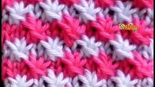 Como Tejer Punto FANTASIA de FLORES en COLORES - How to Knit Flowers in colors - 2 agujas(129)