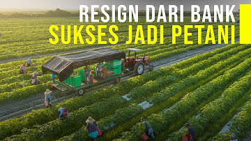 Resign Dari Bank Demi Wujudkan Pertanian Terpadu Sampai Go Internasional