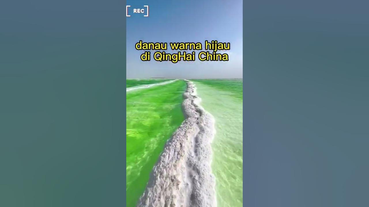 danau warna hijau zamrud di QingHai Tiongkok, tau ga kenapa warnanya begini? #qinghai #tiongkok