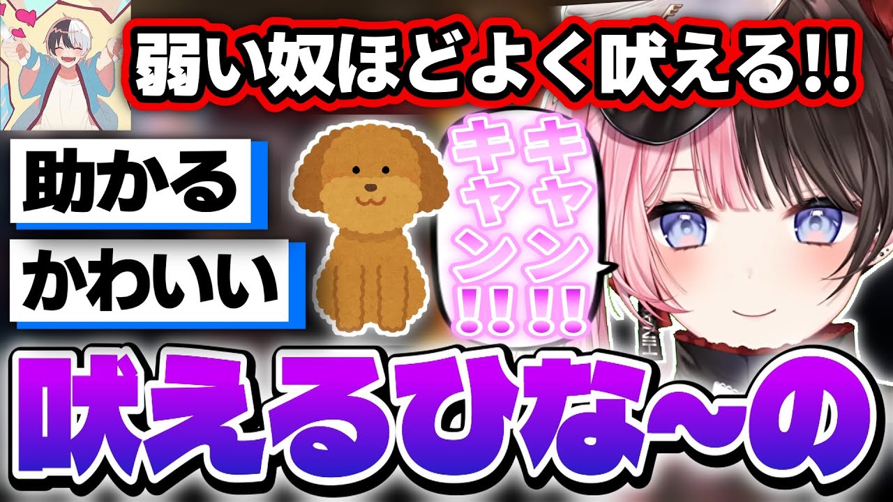 犬の鳴きマネをし始める橘ひなのが可愛すぎる!!【Kamito/デューク/Apex Legends/切り抜き/ぶいすぽっ！】