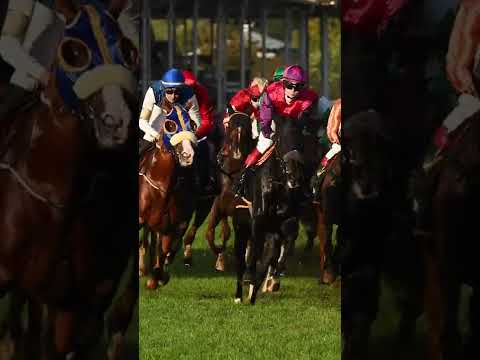 Baden Galopp -