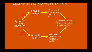 10/1 - Well-Designed Experiments
