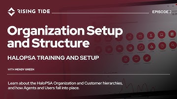 HaloPSA Organization Setup and Structure
