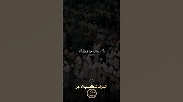 🌅ابدأ صباحك بخشوع|تلاوة تشرح الصدر وتنعش الروح📖✨#فجر_جديد​#تلاوة​#الصلاة​#ذكر_الله​#قرآن​#خشوع​#نور​