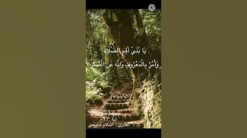 سورة لقمان آية 17 بصوت هادئ و خاشع