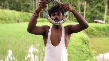 Award Winning Short Film by MSW Students of St.Philomena College Puttur on "Suicide Prevention"