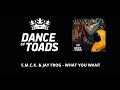 E.M.C.K. &amp; Jay Frog - What You Want