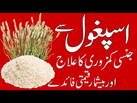 Isabghol ke Fawaid | Ispaghol Ke Fayde | Health Benefits of Psyllium Husk in Urdu | Psyllium Benefit