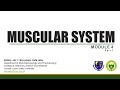 Muscular system part 1  introduction and muscles of the head