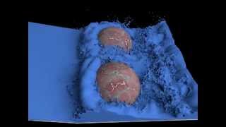 Hemispheres - High-quality surfaces for particle-based fluid animation