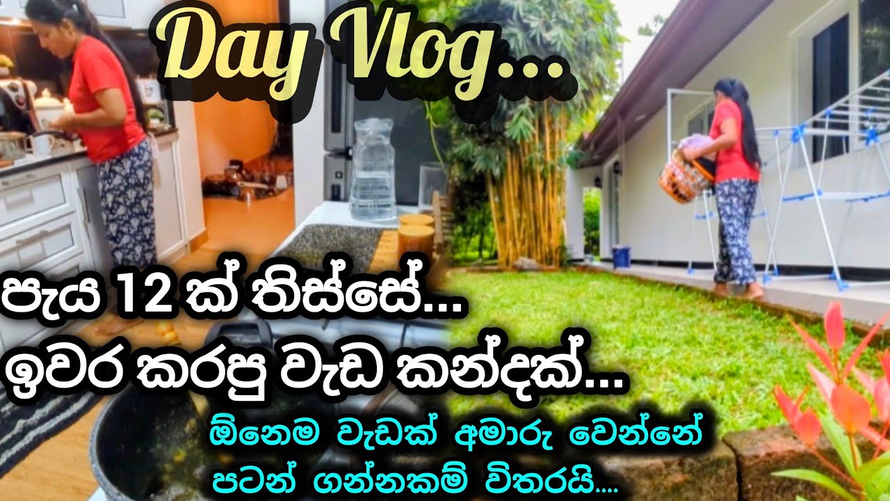 එක එක විදිහේ වැඩ කන්දක් ,මම ඉක්මනින්ම කරන්නේ කොහොමද🌼My Busy Day Vlog🌼