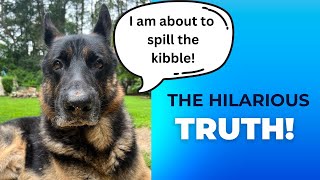 The 5 Things You WISH You Knew Before Getting a German Shepherd‼️😂