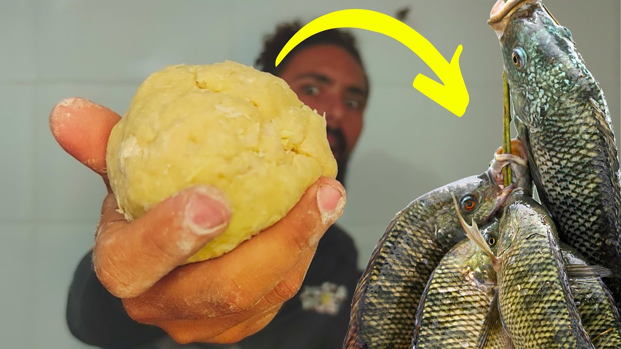✅[passo a passo] Nova MASSINHA de ARROZ para PESCARIA de TILAPIA