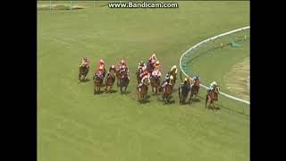 2004 高松宮記念 (GI) サニングデール - YouTube