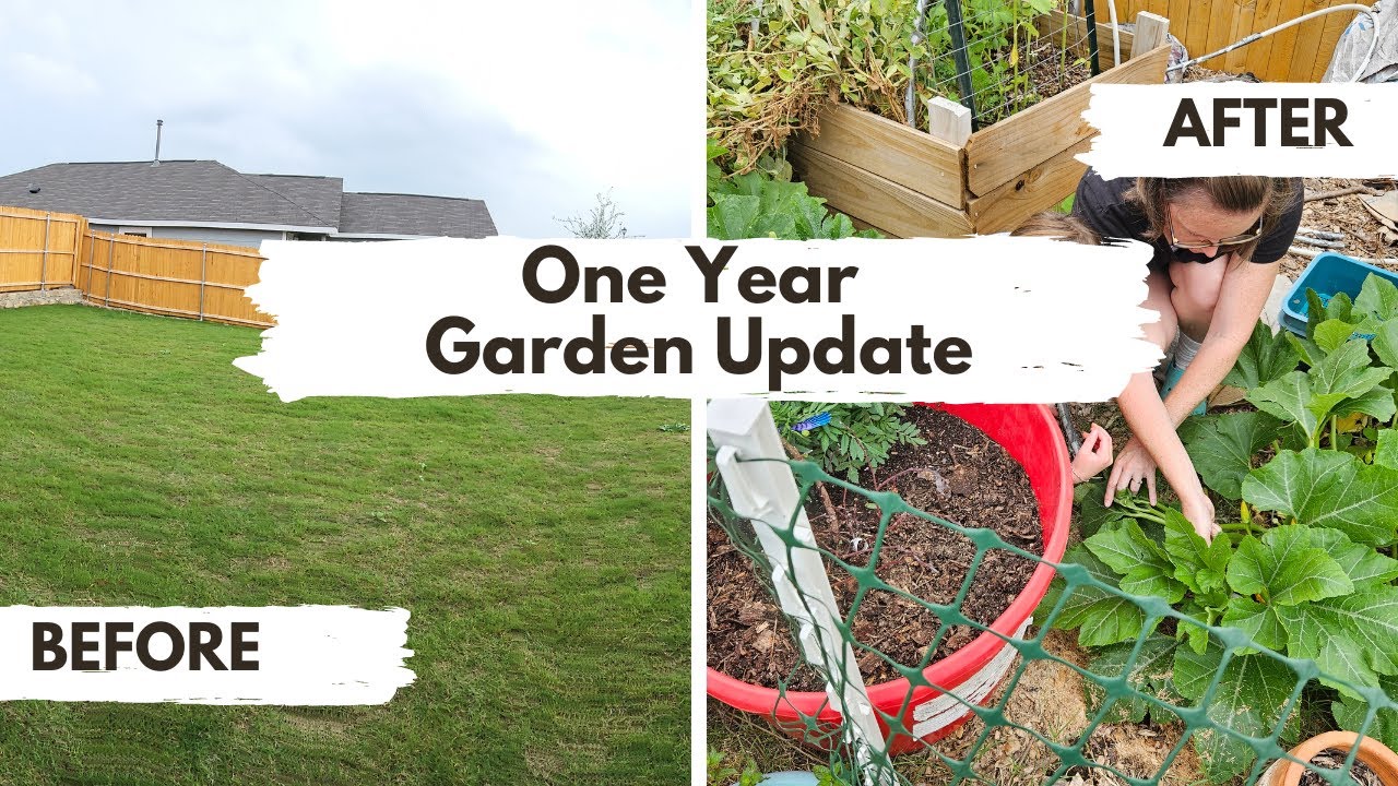 One Year Garden Update | Tiny Urban Homestead