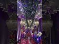 #shortvideo #marriagevideo
