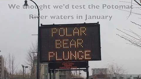 2011 CCAN Polar Bear Plunge