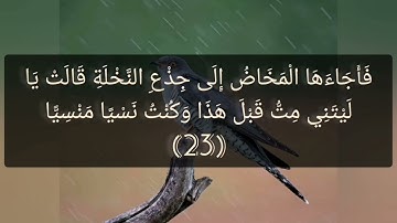 القرآن الكريم سورة مريم صفحة 306