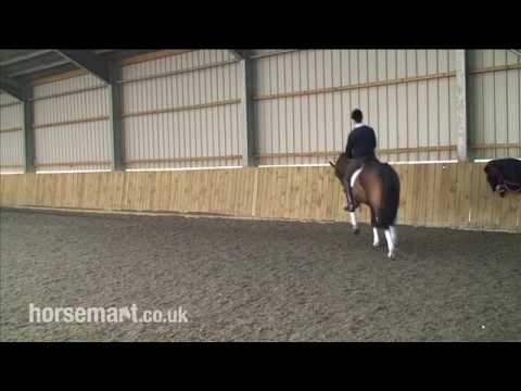 How to shoulder in for dressage with Andrew Gould ...