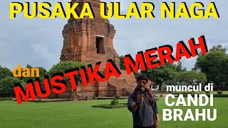 MUNCUL MUSTIKA MERAH DARI MAHKOTA NAGA DI CANDI BRAHU ?!