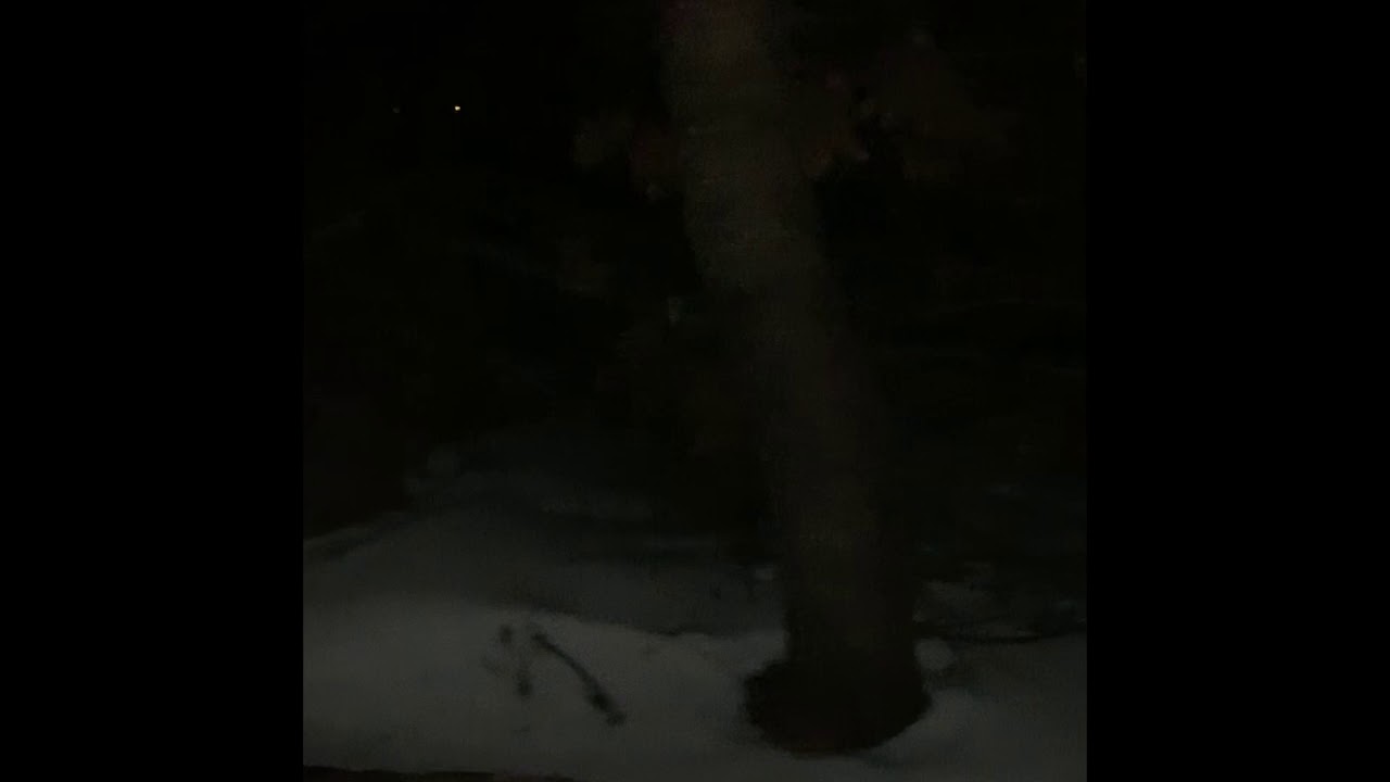 Winter days Wubbys World Peaceful Beats