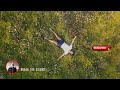 Pop Rock - Indie - Break the Silence
