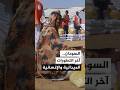 السودان آخر التطورات الميدانية والإنسانية 
