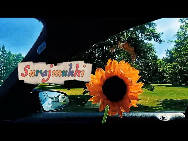 Watch Surajmukhi - Anmol Manepur (official audio) on YouTube Watch Surajmukhi - Anmol Manepur (official audio) on YouTube
