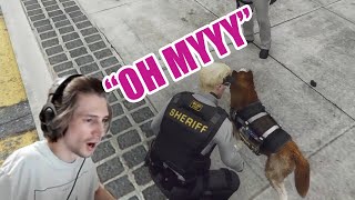 xQc AKA Pierre Paul Gets His FIRST K9 Unit Dog | w/ Chat
