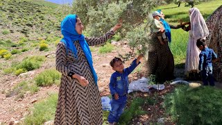 Zainab's picking of mountain sardines and Zainab's conflict with her second wife.