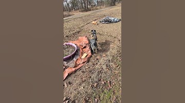 Out w the Australian Cattle Dogs #schnoodlelove #redheeler #blueheeler #buddyblue #acd #rescueddogs