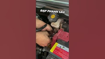 Vì sao phải thường xuyên kiểm tra dầu phanh ô tô  (Phần 1)