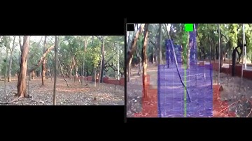 Vision-based Collision Avoidance in UAVs