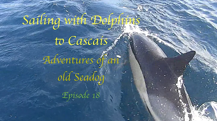 Adventures of an old Seadog Episode 18 Sailing with Dolphins to Cascais