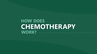 How Does Cancer Chemotherapy Work? by Cancer Center  13,674 views 9 months ago 2 minutes, 32 seconds