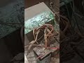 #shortsvideo #5kv #stablizer #problem #वोल्टेज #reparing ksa kra #bluline #5kva #वोल्टेज #reparing