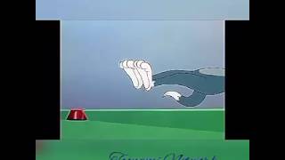 Tom And Jerry, 54 Episode - Cue Ball Cat