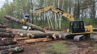 Cat 313 with log grapple