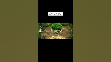 القارئ : أحمد المصري