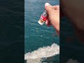 異常な海に七味唐辛子を流したら驚愕する