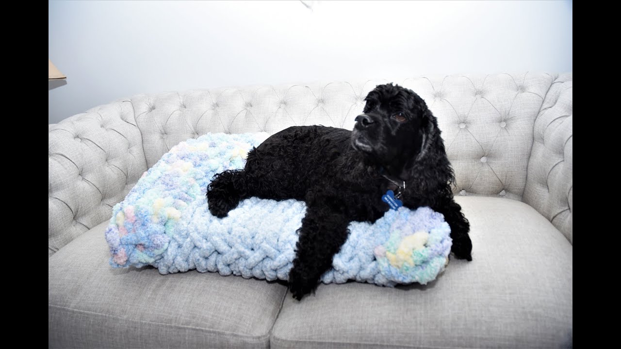 Chunky knitting Dog Bed Rug  Hand Braided Round Rug – KnitFirst